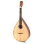 Mandoloncellid Mandoloncellid